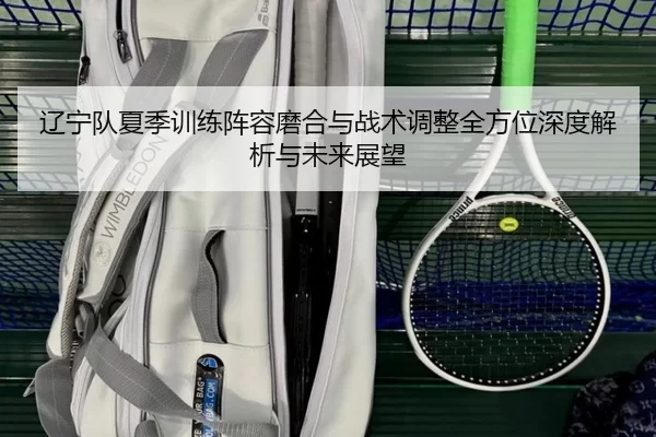 辽宁队夏季训练阵容磨合与战术调整全方位深度解析与未来展望