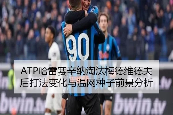 ha-lei-sai-xin-na-tao-tai-mei-de-wei-de-fu-hou-da-fa-bian-hua-yu-wen-wang-zhong-zi-qian-jing-fen-xi-2-703.jpg